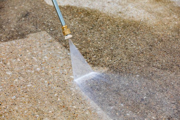 Best Sidewalk and Walkway Cleaning  in Harlan, IN